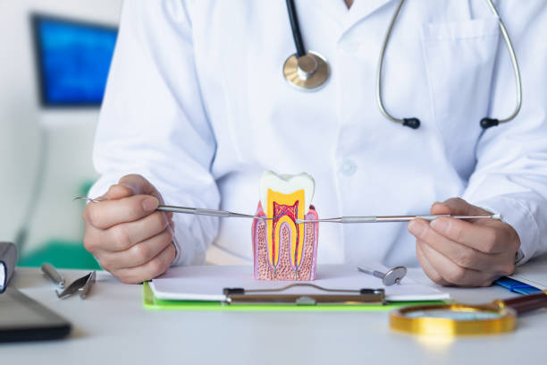 Best Dentist for Tooth Abscess  in Holmen, WI